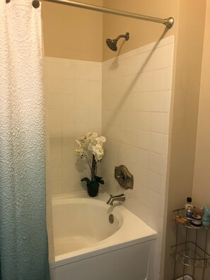 Ensemble baignoire-douche, séchoir à cheveux, serviettes fournies, savon