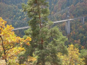Terrain de l’hébergement 