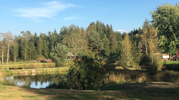 A serene outdoor setting with a pond, grassy areas, and dense trees in the background. - Small house in the middle of the forest.  (Saint-Remy)
