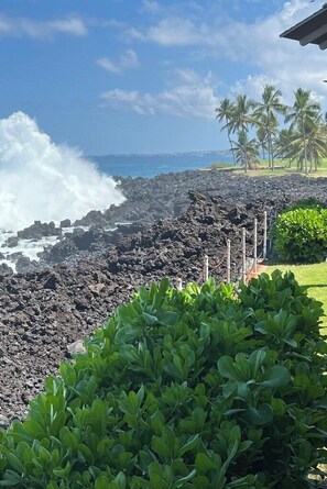 A rocky coastline with waves crashing against the shore, a clear sky, and palm trees in the background.