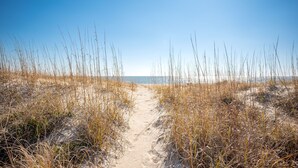 A sandy path leading to the sea with tall grasses on either side. - Fairwinds: Inviting Oceanfront Home Built to Entertain (Caswell Beach)