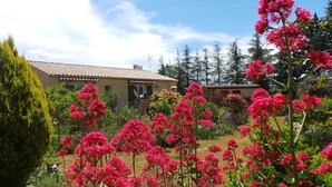 A house with a tiled roof, surrounded by a garden with pink flowering plants and trees.