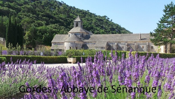 A historic abbey with a prominent bell tower, surrounded by a well-maintained garden with lavender.