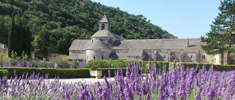 Una abadía histórica con una imponente torre campanario, rodeada de un jardín bien cuidado con lavanda.