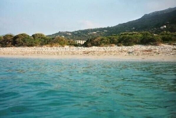 Playa en los alrededores 