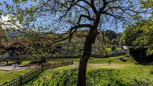 A park with a large tree, a wooden fence, and a grassy area.