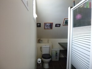 Shower, towels, soap, toilet paper