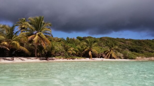 A beach with clear turquoise water, palm trees, and a forested hill in the background. - Villa for 6 people, swimming pool, sea view, close to Sainte Anne beaches (SAINTE ANNE)