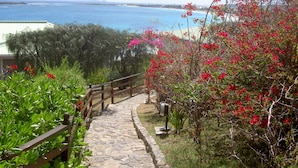 A stone pathway leading to a beach with a wooden fence and red flowering plants. - Deluxe Studio on Orient Bay (saint martin)