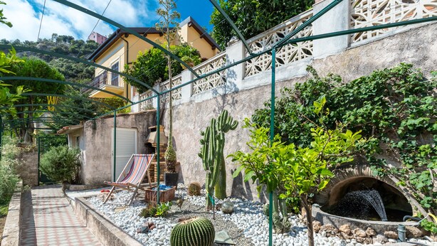 A courtyard with a tiled walkway, a cactus, a small tree, and a brick oven.
