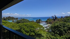 Un paysage tropical luxuriant, avec une végétation dense et une vue sur l’océan.