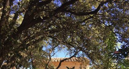 Bonito Maset provenzal, en piedra, climatizado, con piscina en Uzès
