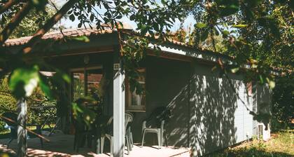 Wooden chalet with terrace, heated indoor pool 300m from the ocean