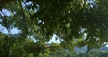 Verbindung trennen in CEVENNES: Randos, Waldbäder, Kommissionierung ... 5 Personen