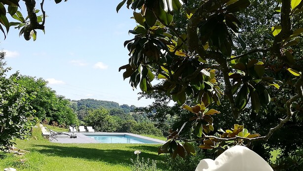 A pool surrounded by lush greenery and a white flower in the foreground. - Vacation in the heart of the Basque Country, swimming pool, quiet mountain views (Ossès)