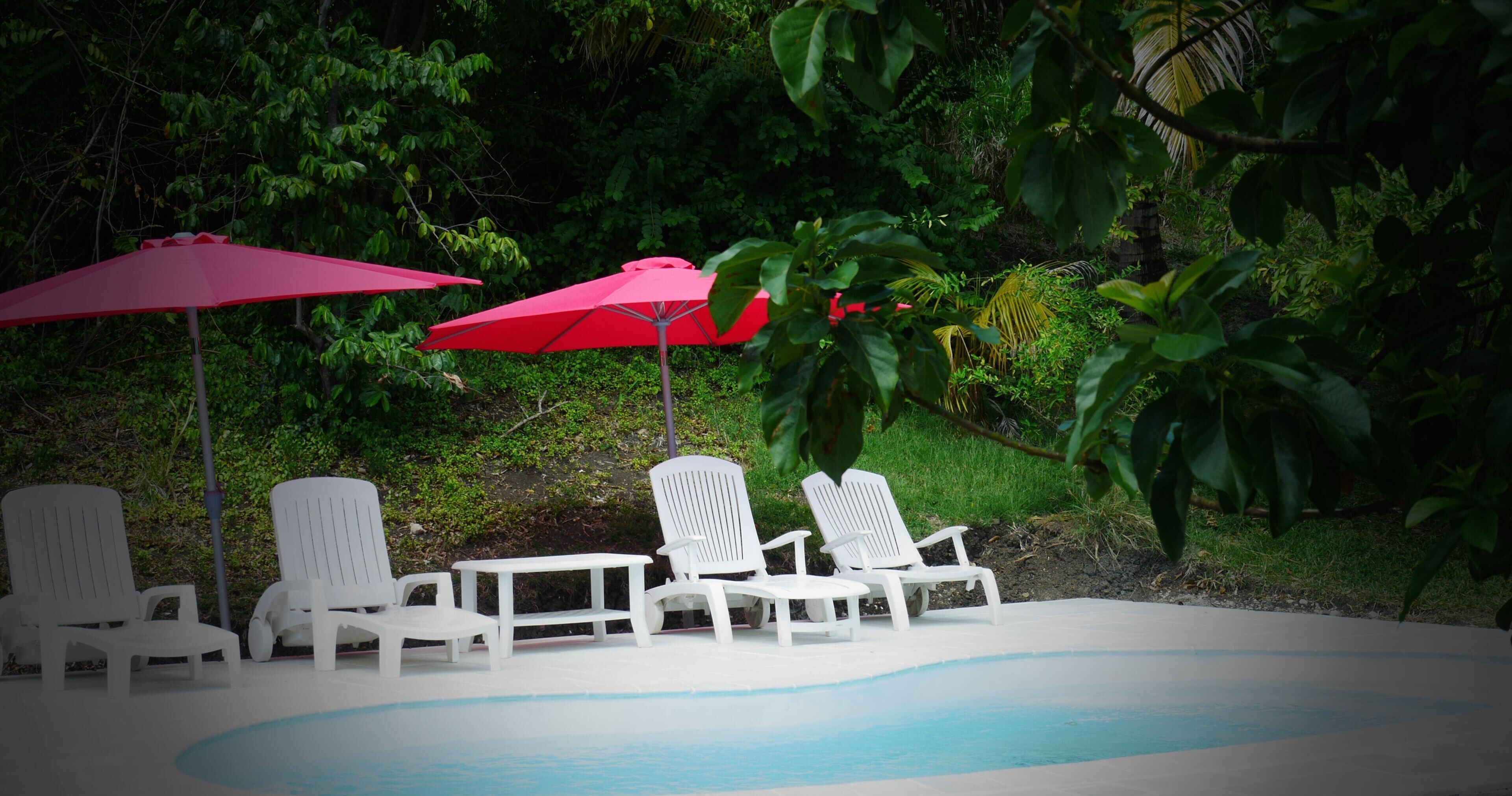 Un espace piscine agrémenté de chaises longues blanches et de parasols rouges, le tout entouré d’une végétation luxuriante.