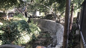A stone retaining wall with a small water feature, surrounded by greenery and trees. - Creekside Casita walking distance to downtown San Carlos (San Carlos)
