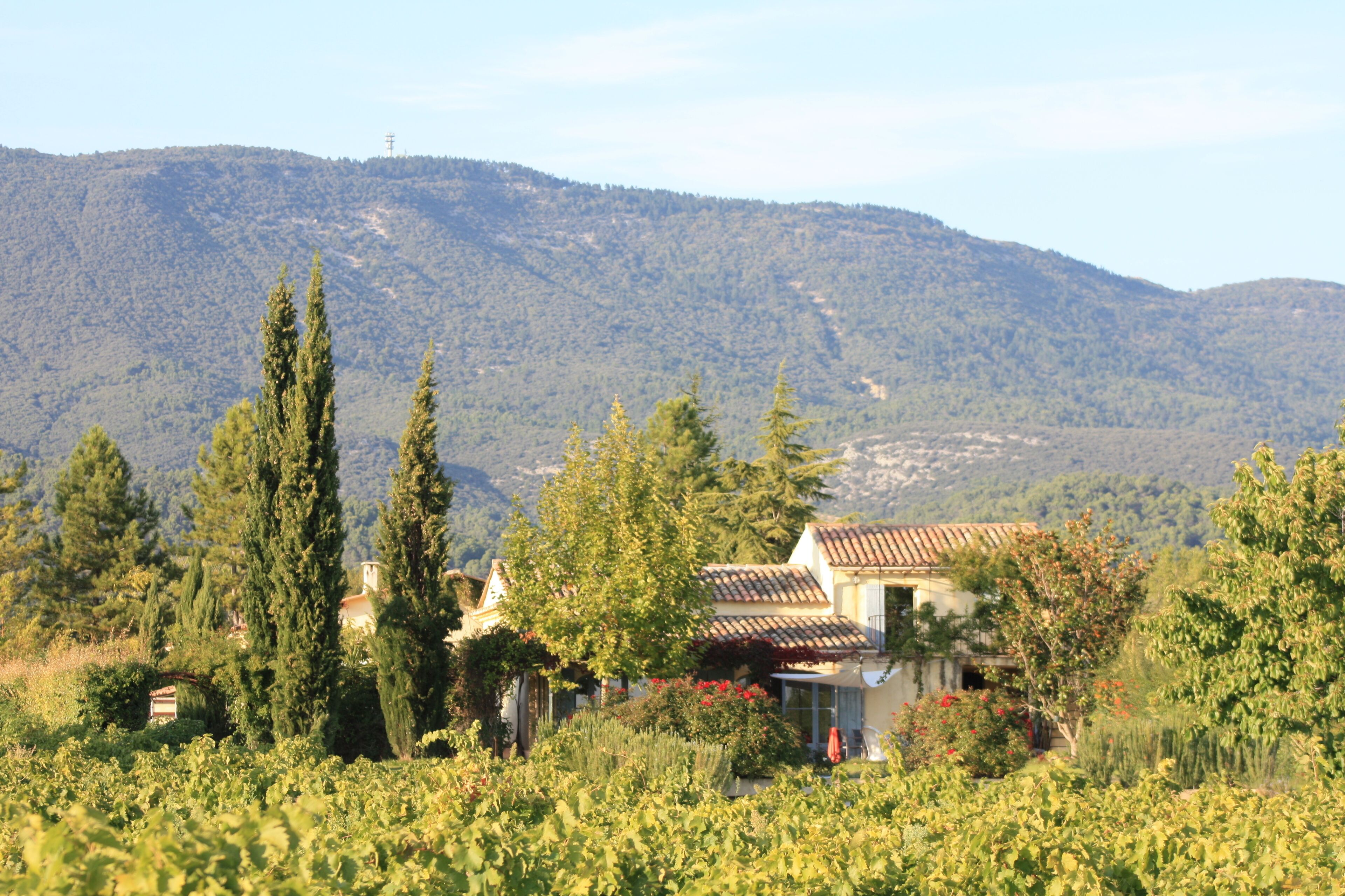 A villa with a tiled roof, surrounded by lush greenery and a mountainous backdrop.