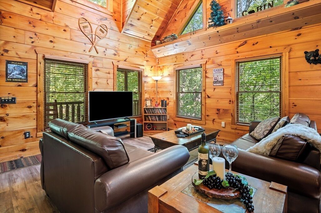 Smart TV, fireplace, DVD player, video library