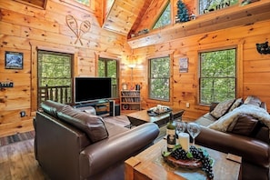 Smart TV, fireplace, DVD player, video library