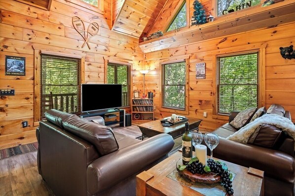 Smart TV, chimenea, reproductor de DVD y videoteca 