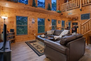 Smart TV, fireplace, DVD player, video library