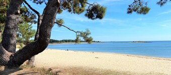 MANÉ CHEUIL - Kleines Ferienhaus in Trinité-sur-Mer, Morbihan - D4