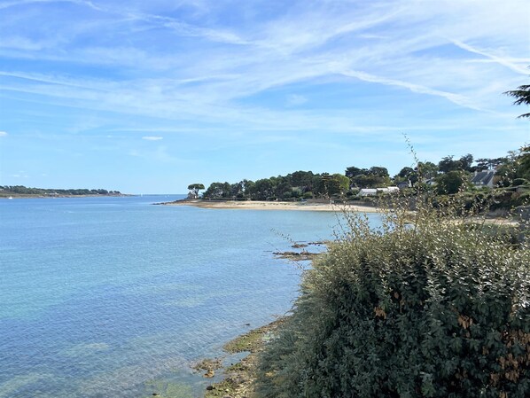 Paesaggio costiero con acque limpide, spiaggia sabbiosa e vegetazione lussureggiante.