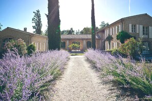 A gravel path flanked by lavender bushes leading to a stone building with a tiled roof and arched windows.