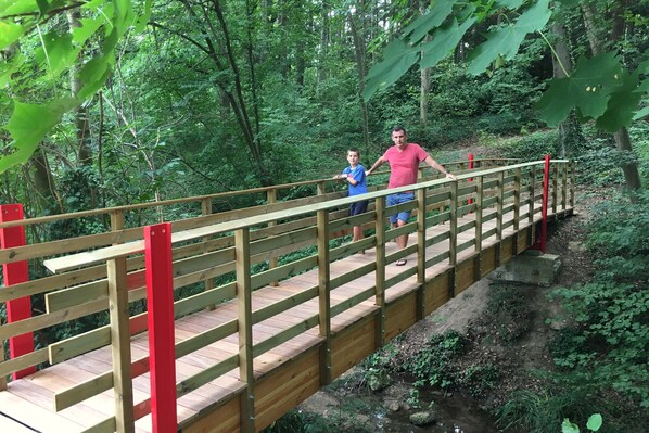 A wooden bridge with red railings in a forested area.