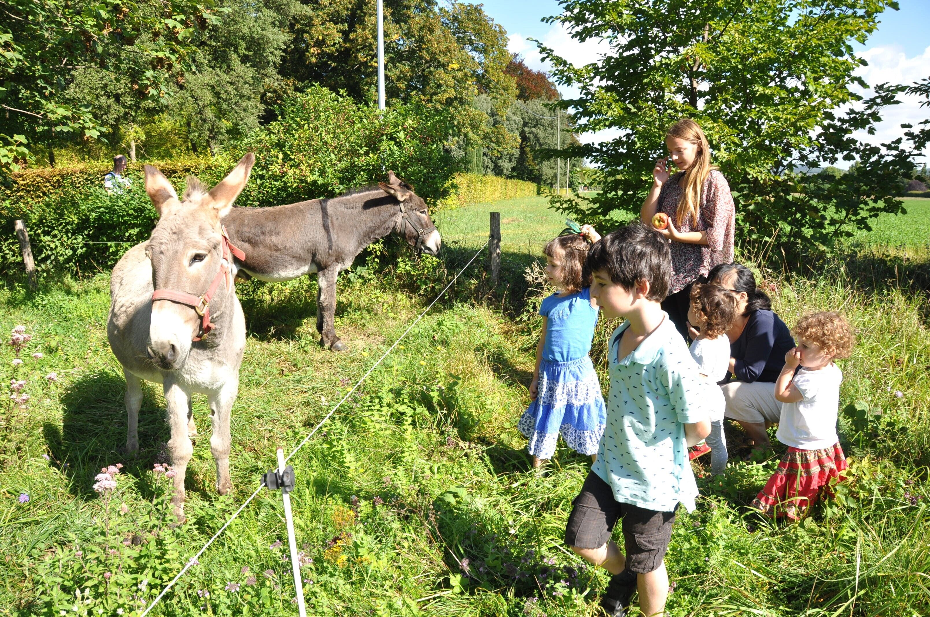 Een groep mensen die met een ezel samenspelen in een groene buitenomgeving.