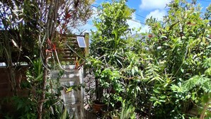 A garden with various plants and a brick pathway. - T2 Apartment Countryside View (st joseph)