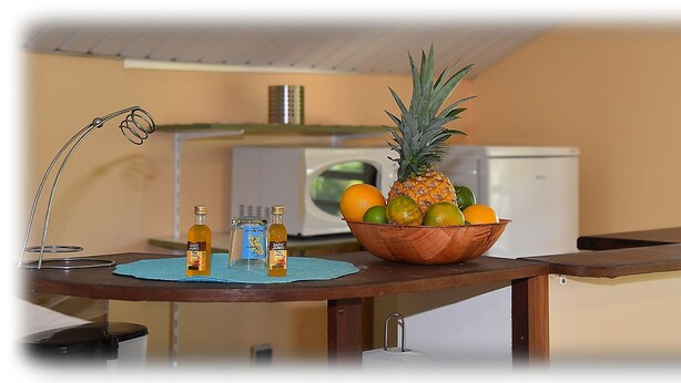 A kitchen counter with a bowl of fruit, a bottle of Saint James, and a metal lamp. - T2 Apartment Countryside View (st joseph)