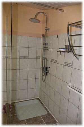 Shower, towels, soap, toilet paper