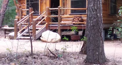 Rustic mountain retreat - escape to a hand-built cabin in the woods