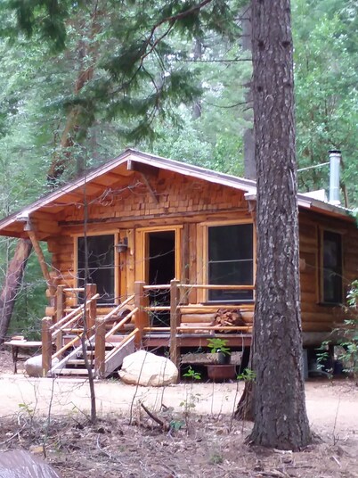 Rustic mountain retreat - escape to a hand-built cabin in the woods