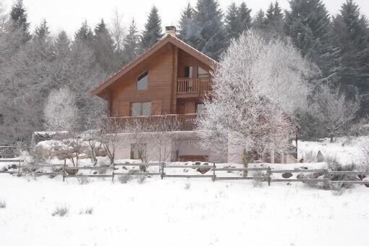 Imagen de perfil del propietario o de la propietaria