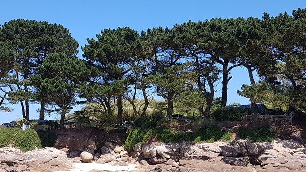 A rocky shoreline with clear water, a wooden fence, and dense trees. - In a "fisherman's house" spirit, between Finistère and the pink granite coast (Plouezoc'h)
