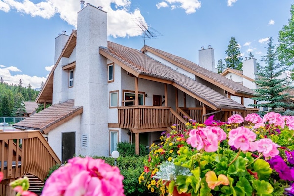 Enjoy the stunning mountain chalet-inspired design and architecture.