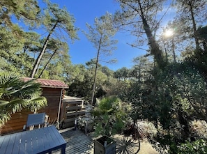 A wooden cabin with a deck, surrounded by dense trees and a clear sky.