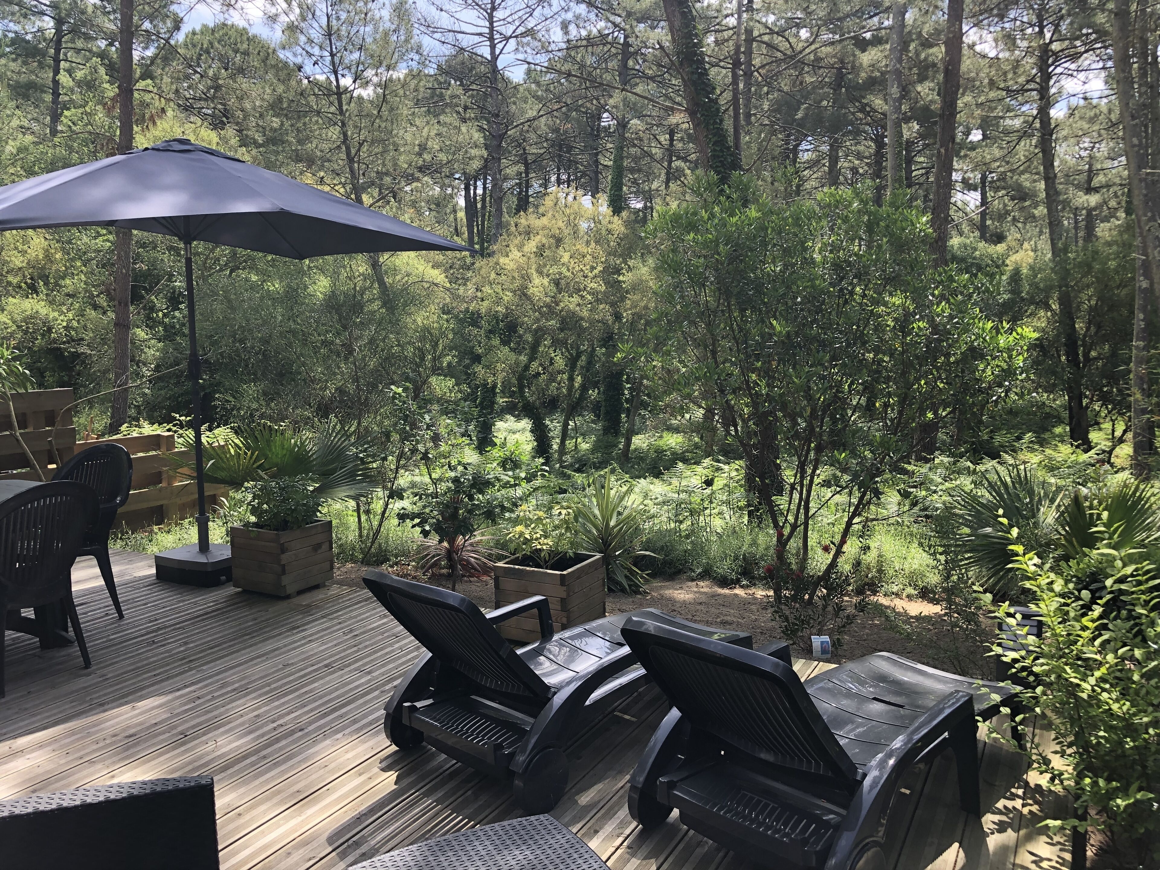 A deck with outdoor furniture and a large umbrella, surrounded by dense greenery and trees.