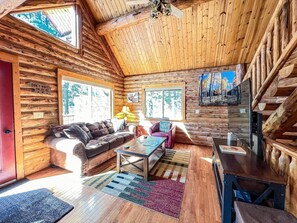 Smart-tv, pejs, bøger