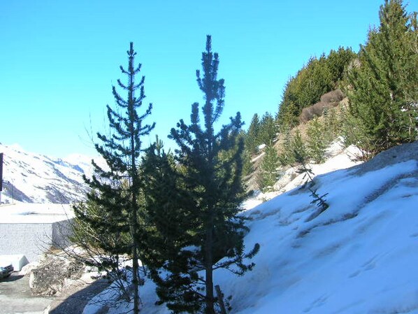 Área da propriedade