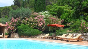 A swimming pool with lounge chairs and an umbrella, surrounded by lush greenery and flowering bushes.