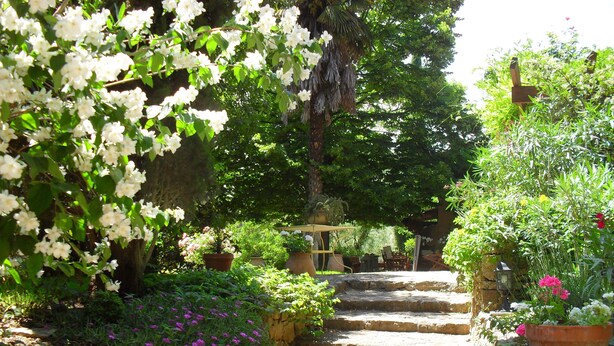 A stone staircase surrounded by lush greenery and potted plants.