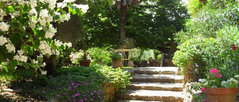 المنطقة المحيطة بالمنشأة