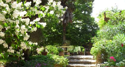 SALERNES Haut Var Charming house swimming pool 6x12 air conditionng park 70000m2