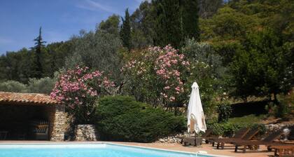 SALERNES Haut Var Charming house swimming pool 6x12 air conditionng park 70000m2