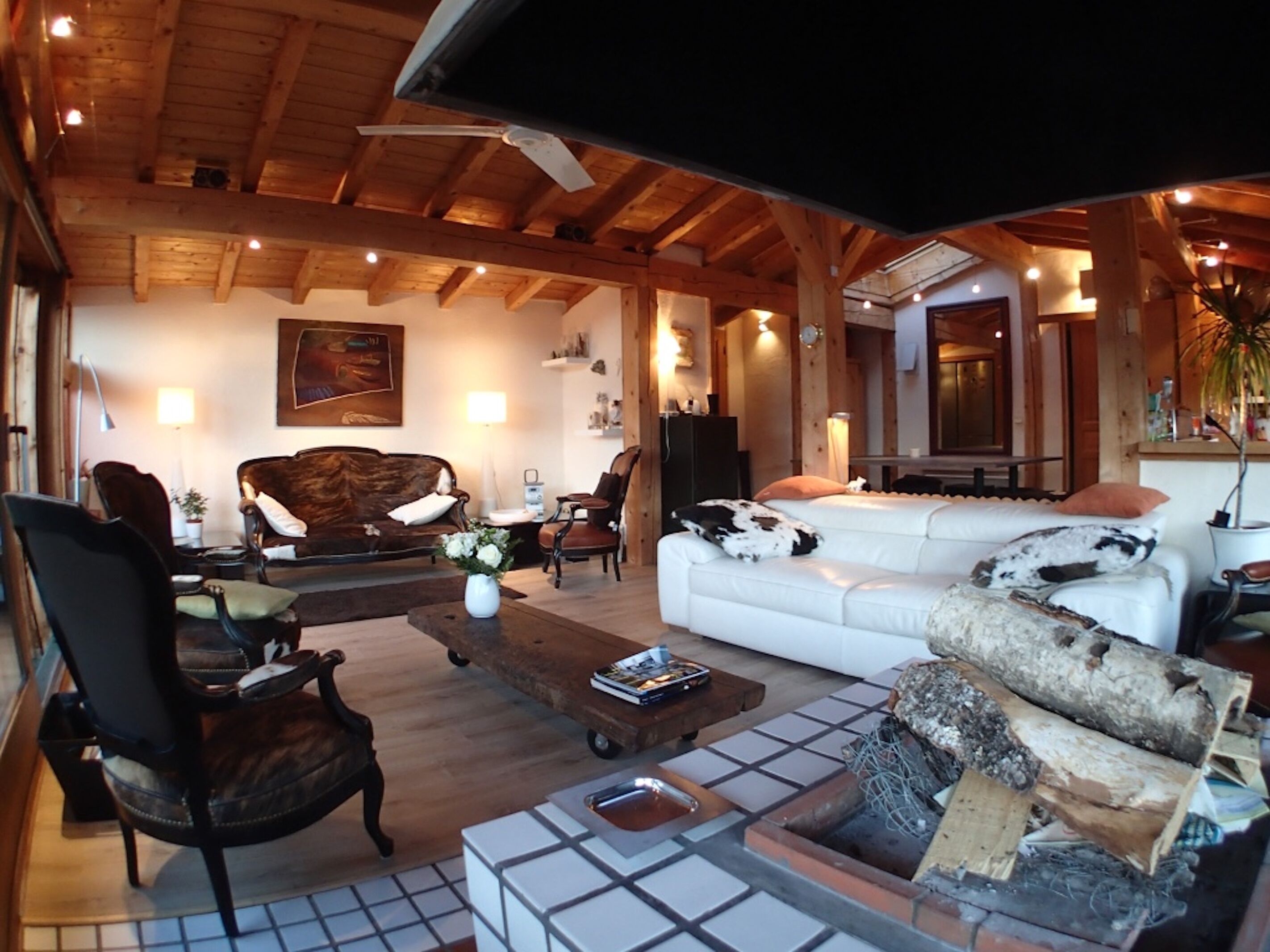 TV, fireplace, DVD player, books