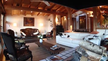 Télévision, cheminée, lecteur de DVD, livres